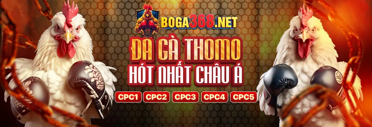 Hình ảnh minh họa các câu hỏi thường gặp