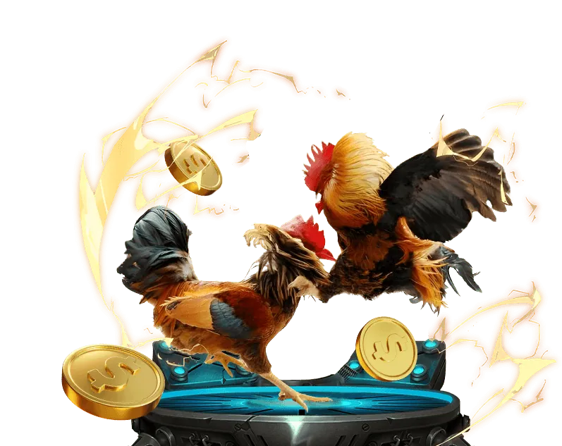 Nền tảng cá cược mới ra mắt